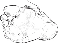 PIANTA PIEDE DISEGNO